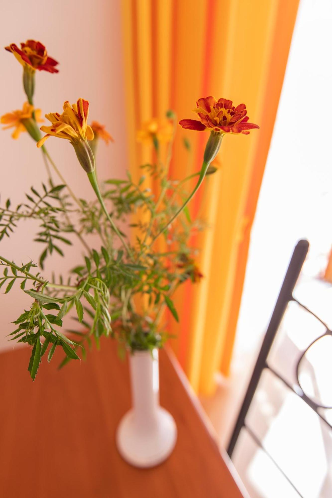 Sant'Anna Bed & Breakfast Agerola Bagian luar foto
