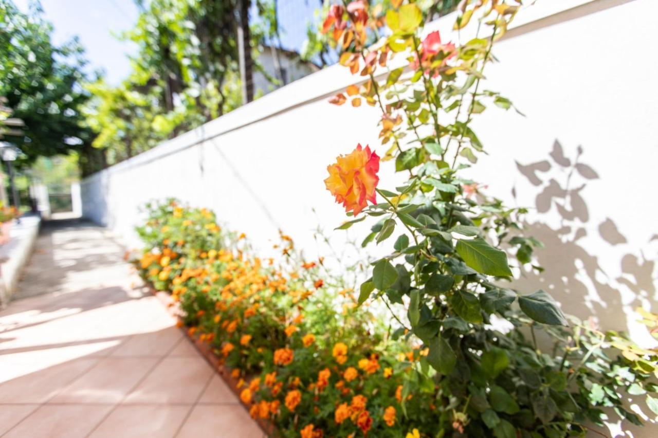 Sant'Anna Bed & Breakfast Agerola Bagian luar foto